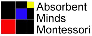 Absorbent Minds Montessori Coupon Code