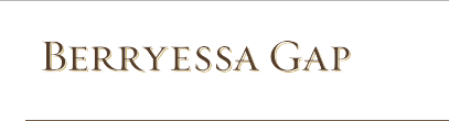 Berryessa Gap Vineyards coupon code