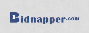 Bidnapper coupon code