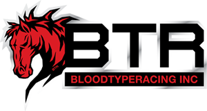 Blood Type Racing coupon code