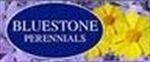 Bluestone Perennials coupon code