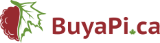 Buyapi.ca coupon code