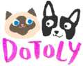 Dotoly coupon code