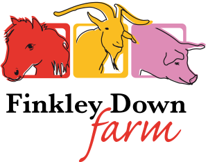 Finkley Down Farm Coupon Code