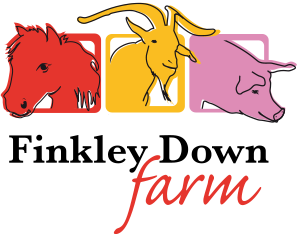 Finkley Down Farm coupon code