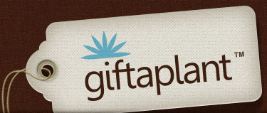 Giftaplant Coupon Code