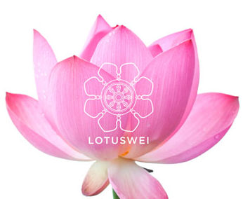 Lotus Wei coupon code