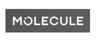 Molecule Mattress coupon code