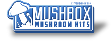 Mushbox Coupon Code