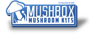 Mushbox coupon code