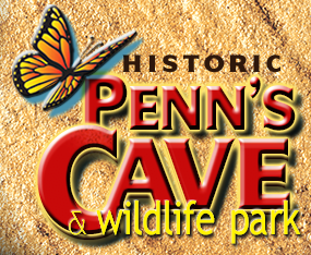 Penn's Cave Coupon Code