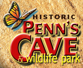 Penn's Cave coupon code