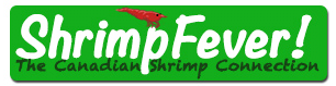 Shrimp Fever Coupon Code