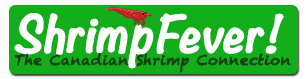 Shrimp Fever coupon code