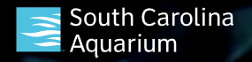 South Carolina Aquarium coupon code