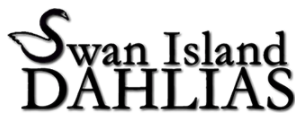 Swan Island Dahlias Coupon Code