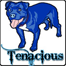 Tenacious Toys Coupon Code