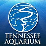 Tennessee Aquarium coupon code