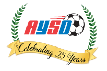 The Ayso Store Coupon Code
