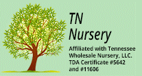 Tn Nursery Coupon Code