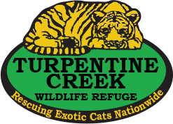 Turpentine Creek Wildlife Refu Coupon Code