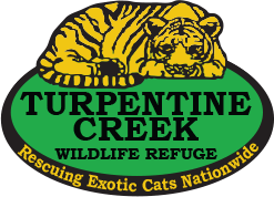 Turpentine Creek Wildlife Refu coupon code