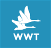 WWT Coupon Code