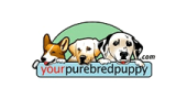 Your Purebred Puppy Coupon Code