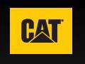 Cat Footwear Coupons