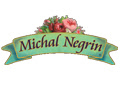 Michal Negrin coupon code