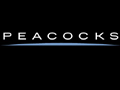 Peacocks UK coupon code