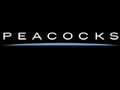 Peacocks UK Coupon Codes